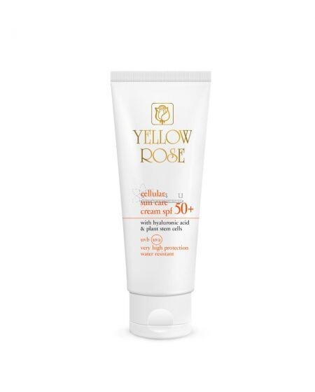 Sun Care Cream SPF 30